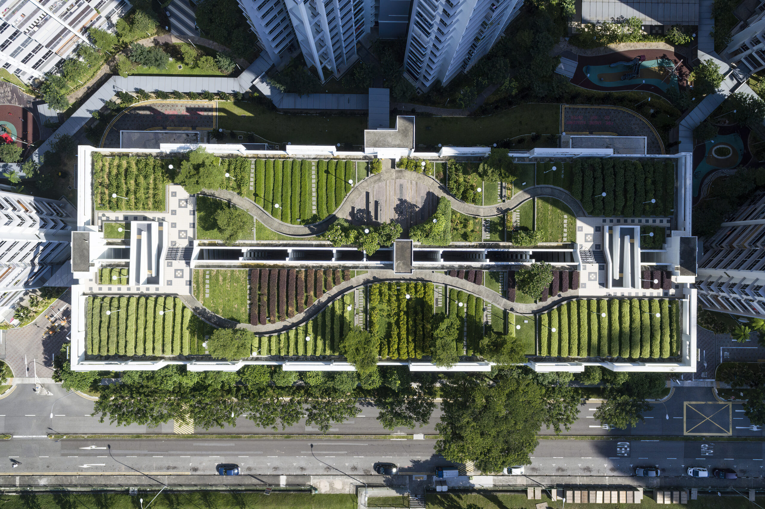 Aerial Shot of Rooftop Garden